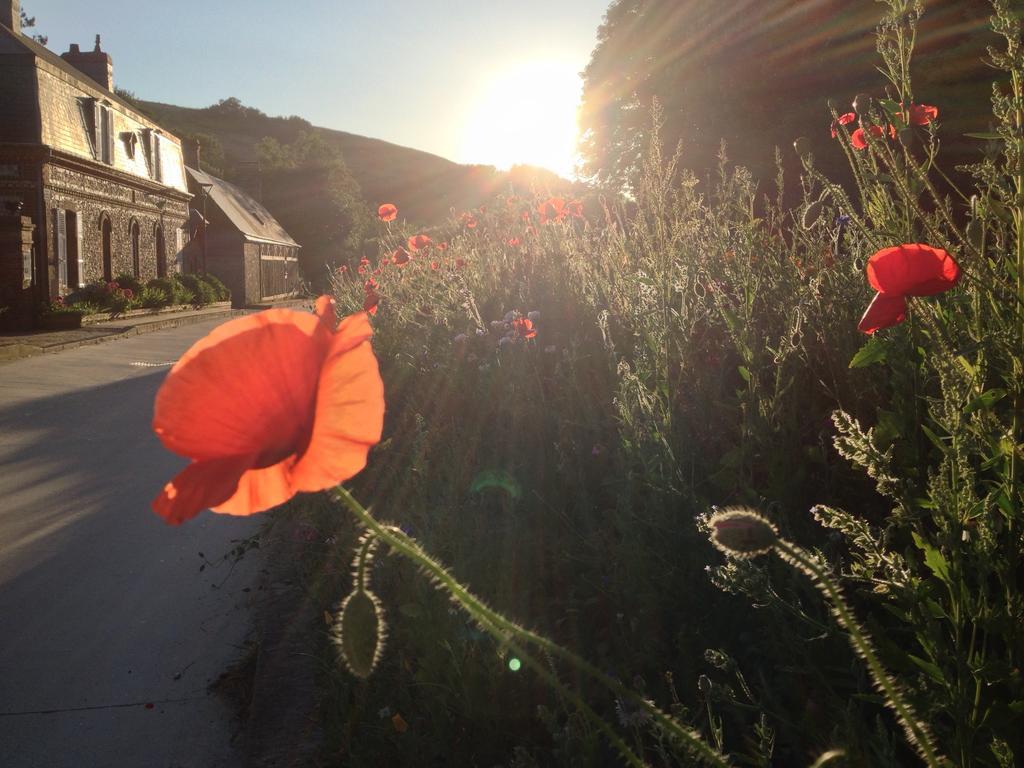 La Flore De Lys, Cottage Ideal Pour 2 Adultes Et 2 Enfants Saint-Jouin-Bruneval Quarto foto