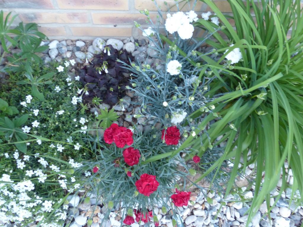 La Flore De Lys, Cottage Ideal Pour 2 Adultes Et 2 Enfants Saint-Jouin-Bruneval Quarto foto