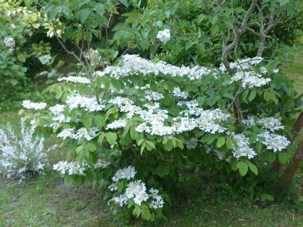 La Flore De Lys, Cottage Ideal Pour 2 Adultes Et 2 Enfants Saint-Jouin-Bruneval Quarto foto